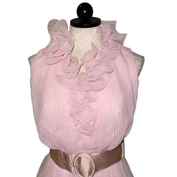Miss Elliette California Vintage Womens Dress Size Small Pink Chiffon Tiered - Picture 5 of 16